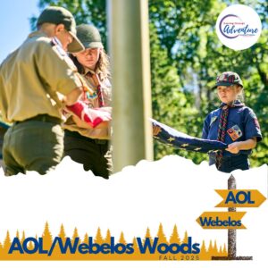 webelos with flag