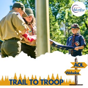 Webelo and Scouts